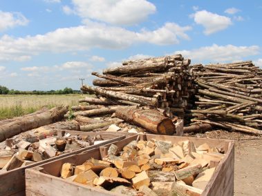 Large piles of logs in yard