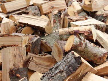 Pile of split firewood logs