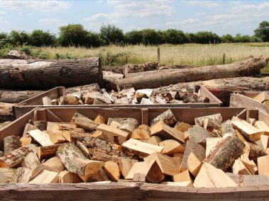 Firewood in yard